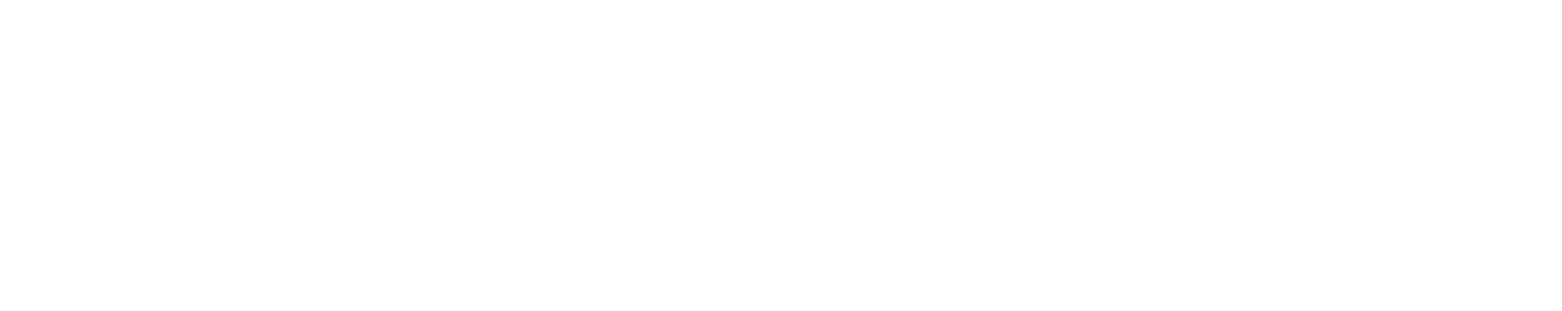 4.99% p.a.* liteBlue variable 2-year discounted owner occupied P&I or investor P&I